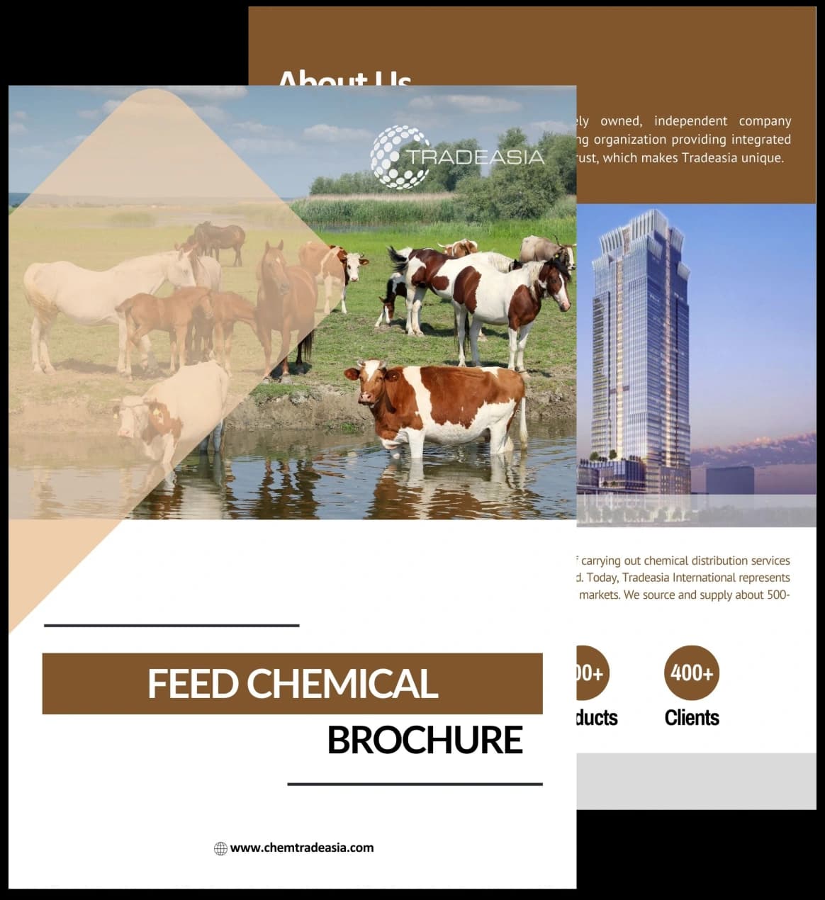 Tradeasia Int - Company Profile
