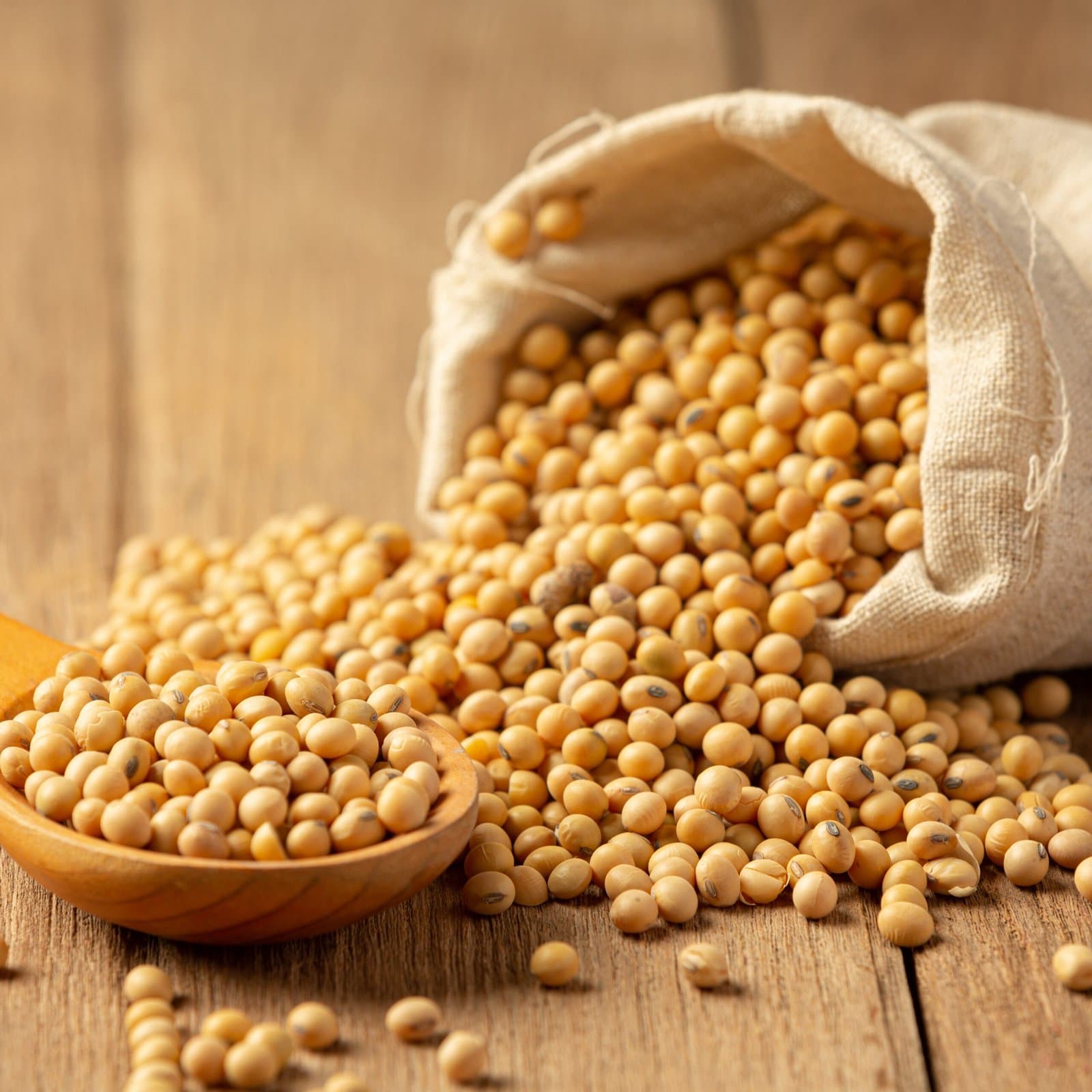 Robust Brazilian Soybean Exports Propel China to Unprecedented Import Levels Surpassing 100 Million Tonnes