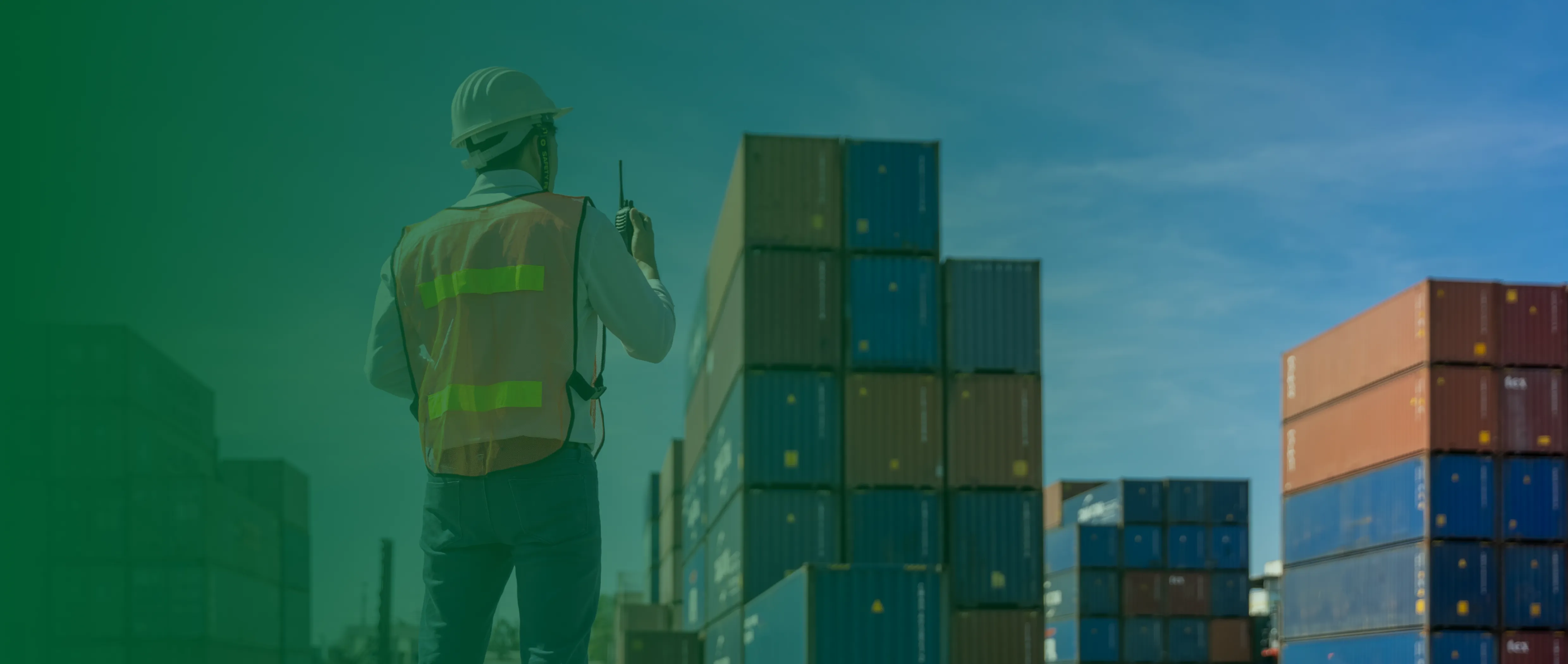 Optimierte Logistik- und Vertriebsnetzwerke