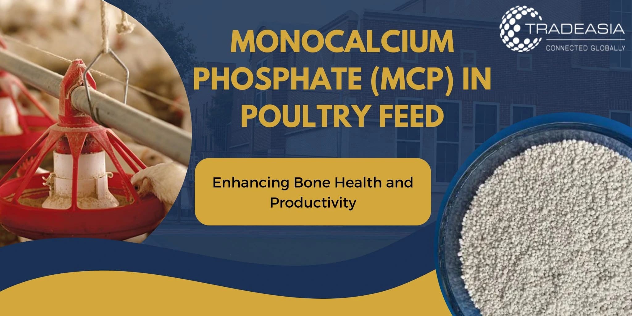 Fosfato monocálcico (MCP) en la alimentación de aves de corral: mejora la salud ósea y la productividad