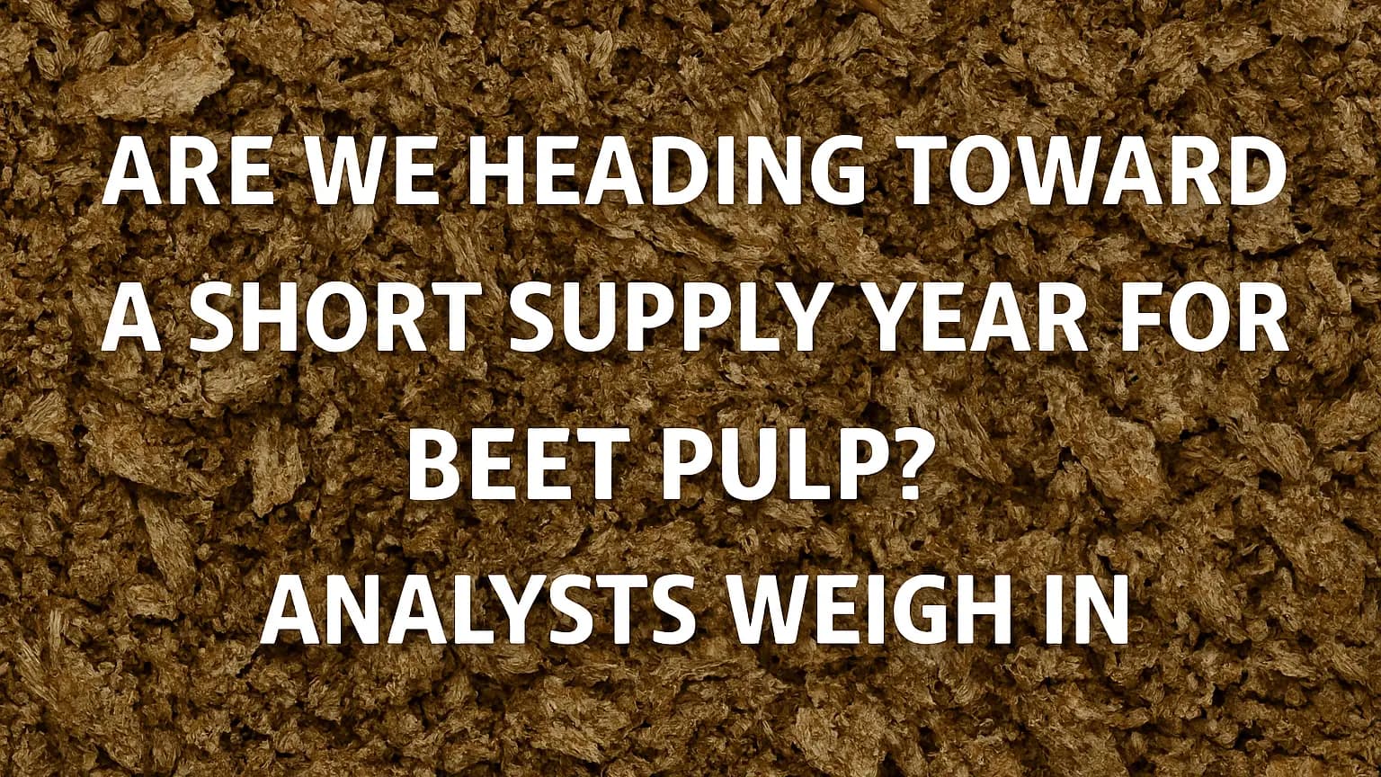 Are We Heading Toward a Short Supply Year for Beet Pulp? Analysts Weigh In