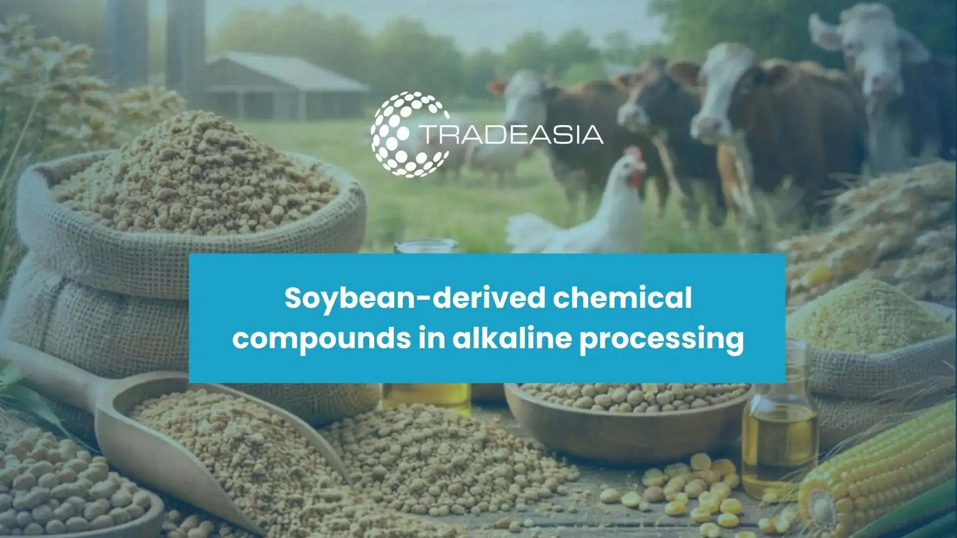 Soybean Meal: Powering Asia's Livestock and Aquaculture Feed