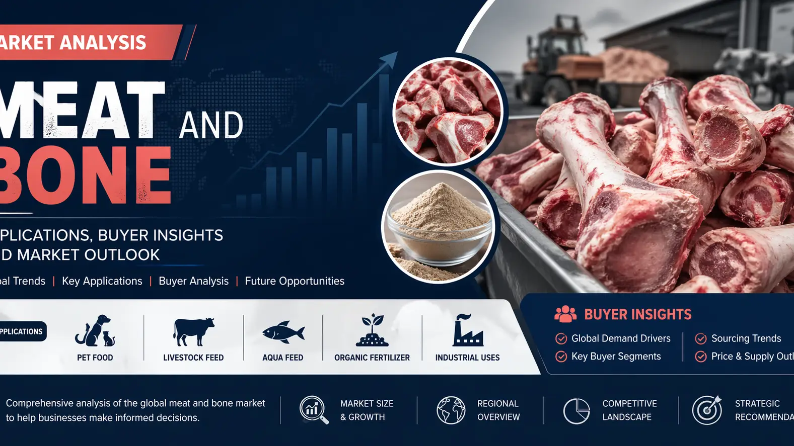Meat and Bone Meal Market 2026: Applications, Buyers, Pricing & Global Demand