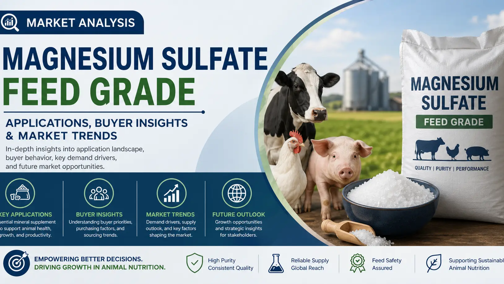 Magnesium Sulfate Feed Grade Market 2026: Demand, Buyers & Applications Outlook