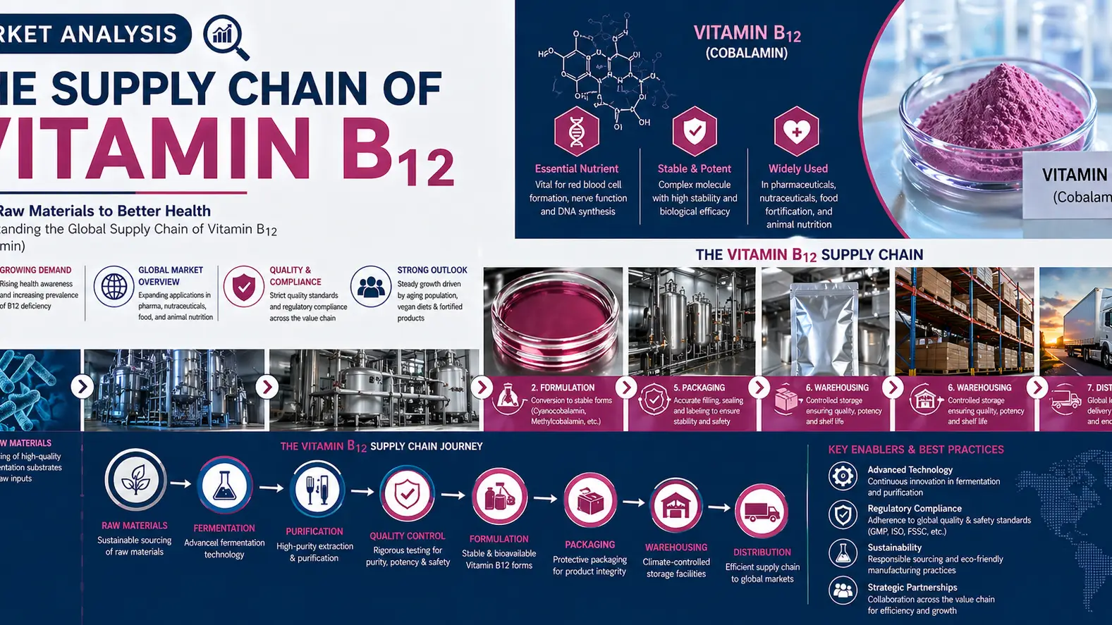 Vitamin B12 Supply Chain 2026: Global Production, Pricing & Trade Dynamics Shift