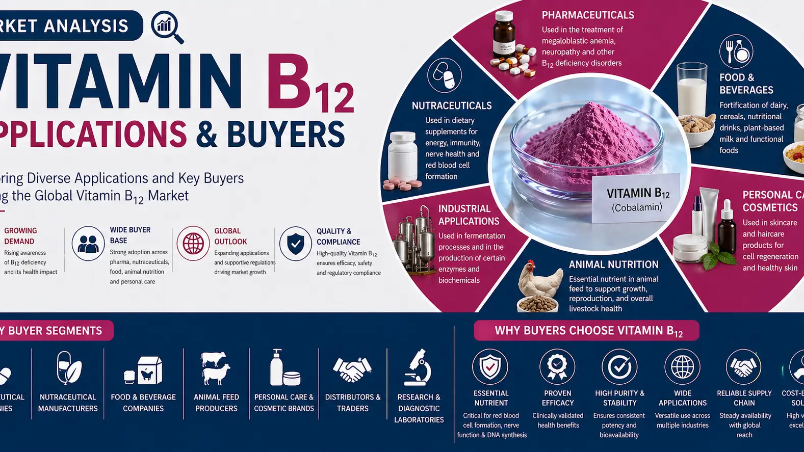 Vitamin B12 Market 2026: Applications, Buyers & Supply Chain Insights