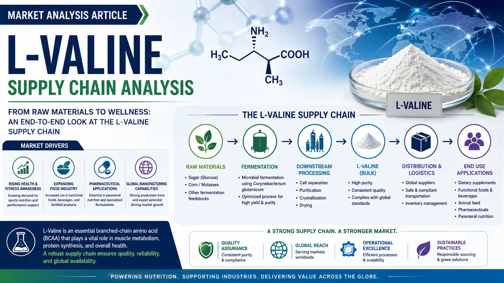 L-Valine Supply Chain Outlook 2026: Production, Trade & Market Dynamics Shift