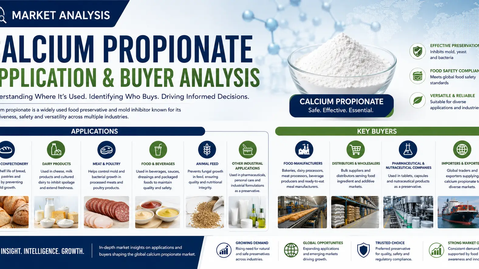 Calcium Propionate Market 2026: Expanding Applications Across Food and Feed