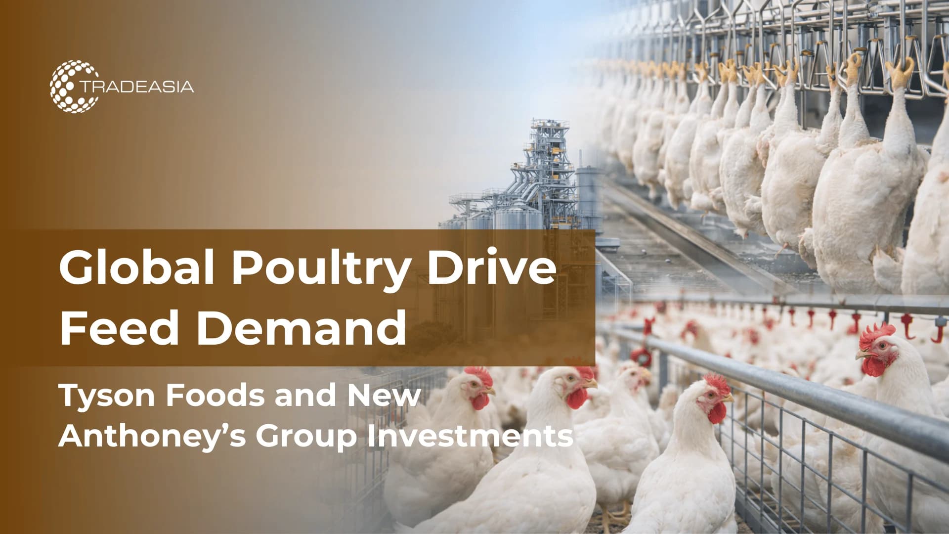 Las inversiones de Tyson Foods y New Anthoney's Group impulsan el crecimiento de la industria avícola