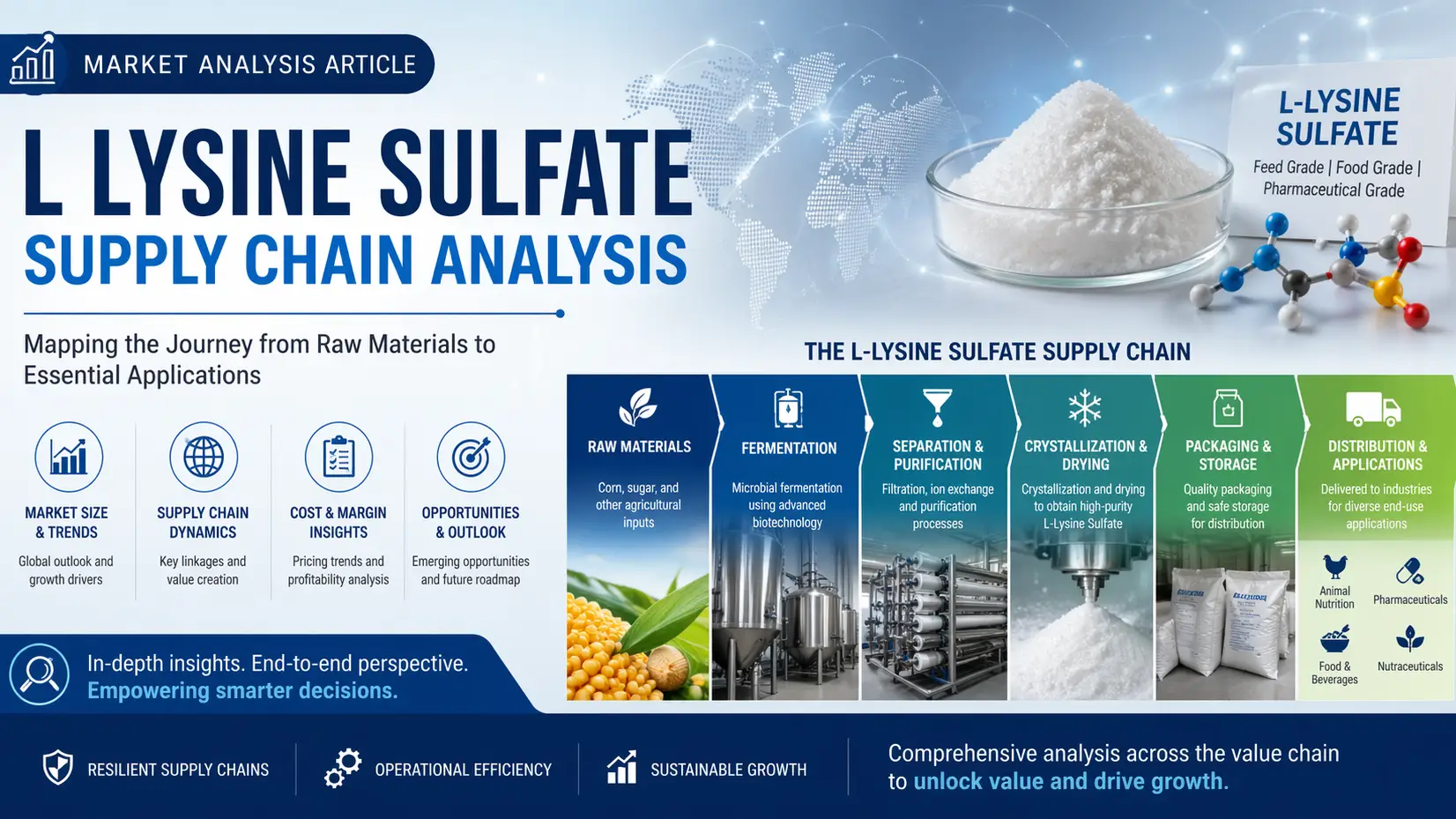 Global L-Lysine Sulfate Market 2026: Feedstock, Supply Chains & Future Outlook