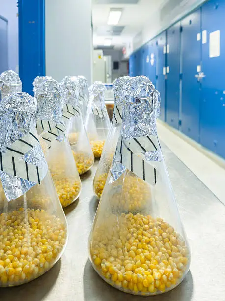 IG4 Capital's Braskem Stake Includes Exposure to Agricultural Feedstock-Linked Chemistry