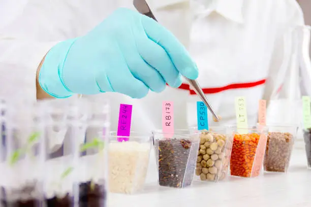 FSSAI's Labeling Push Could Reshape Food-Adjacent Ingredient Reformulation Demand