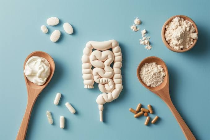 Probiotic Strain Stability in Shelf-Stable Food Formats
