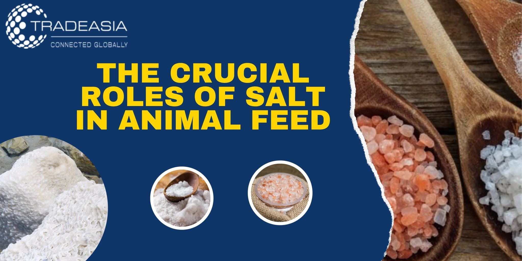 The Crucial Roles of Salt in Animal Feed