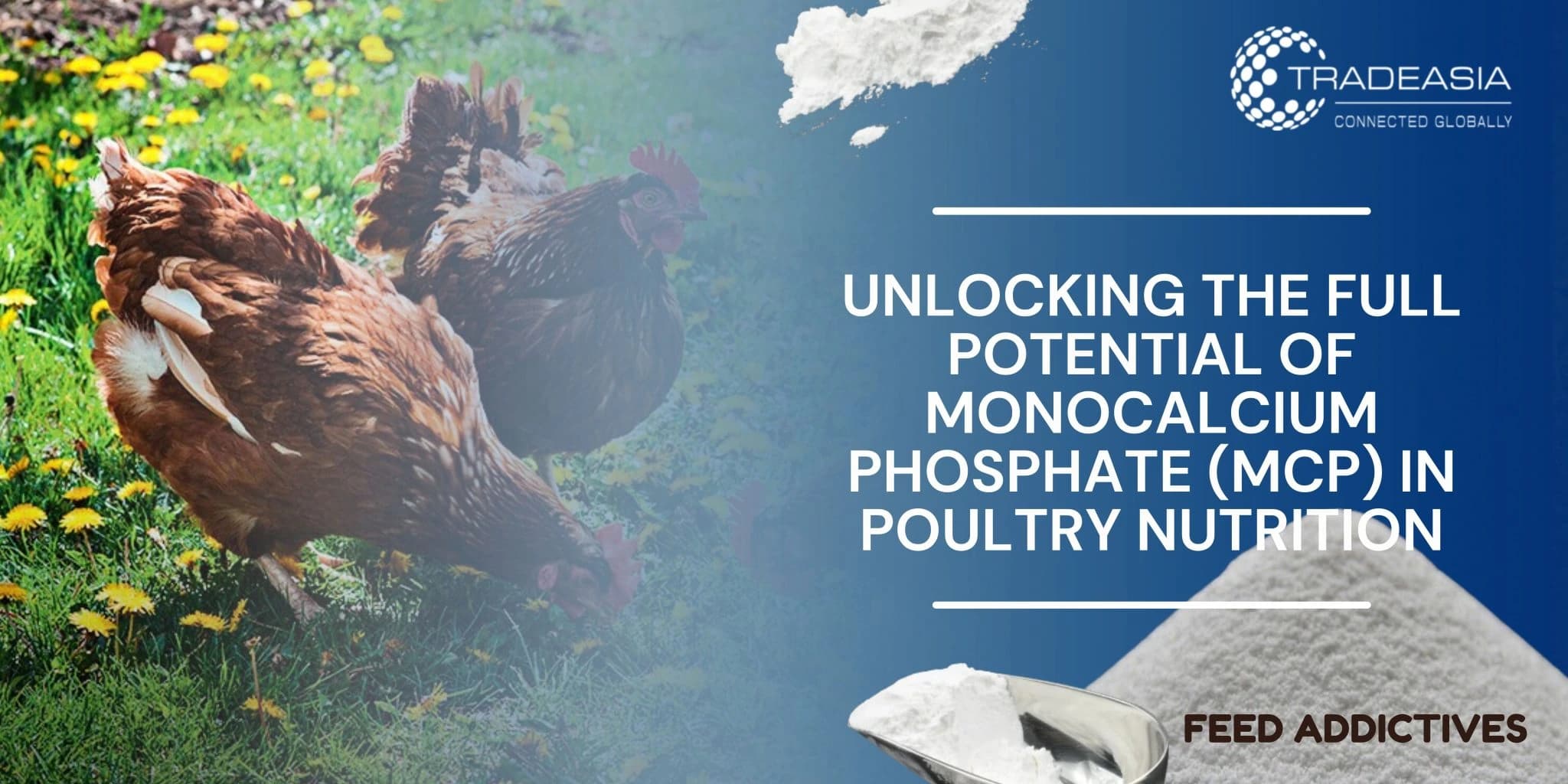 Aprovechar todo el potencial del fosfato monocálcico (MCP) en la nutrición avícola
