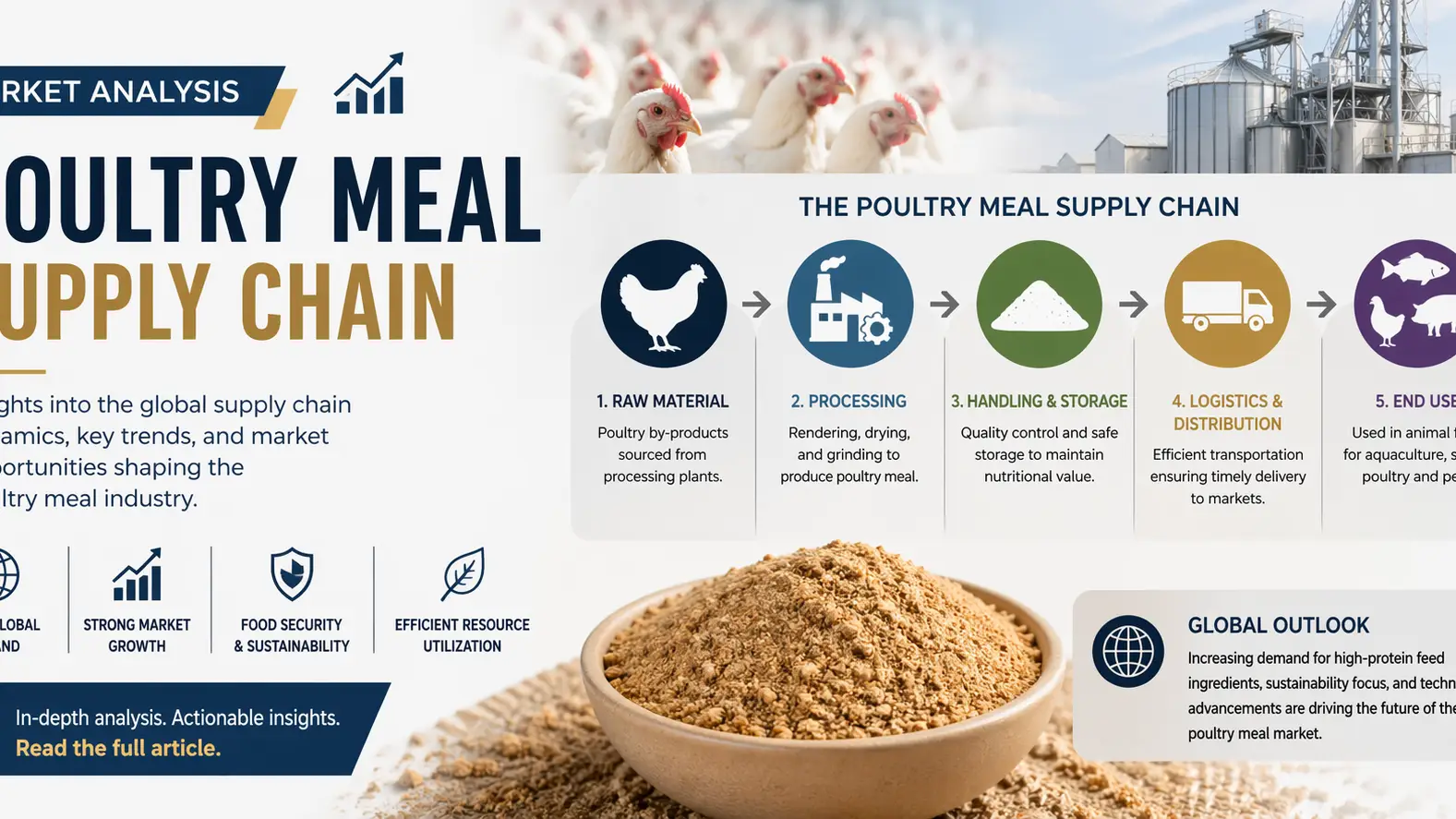 Poultry Meal Supply Chain Dynamics and Global Market Outlook 2026