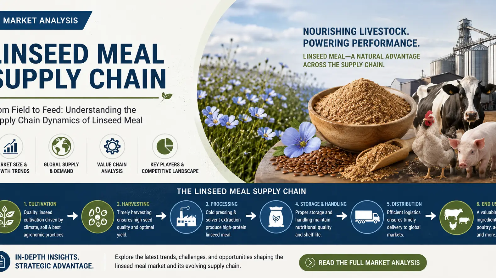 Linseed Meal Supply Chain 2026: Trade Flows, Pricing & Market Dynamics Outlook