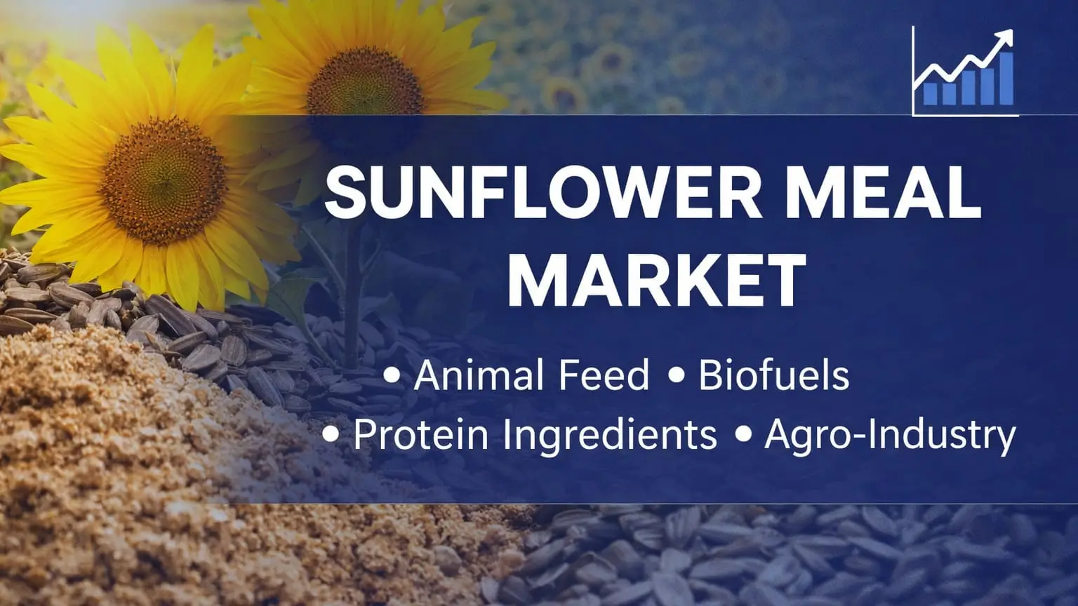 Sunflower Meal Market 2026: Growth, Applications, Buyers & 20-Year Outlook