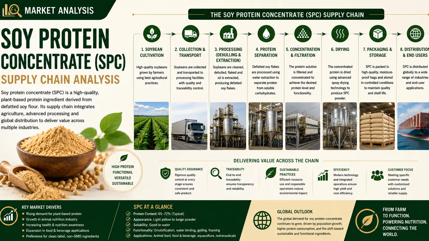 Soy Protein Concentrate Supply Chain Outlook and Market Dynamics