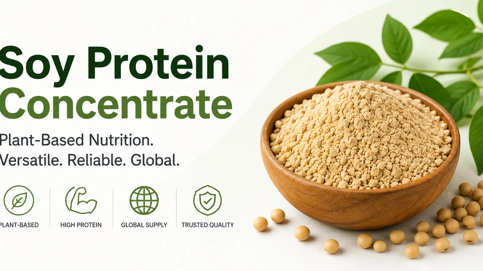 Soy Protein Concentrate Applications and Key Global Buyers Across Industries