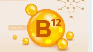 Feedstock Economics Shaping the Vitamin B12 Market