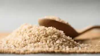 Broken Rice Supply Chains: Feedstock Risks and Market Outlook