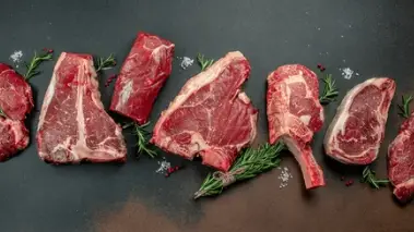 Feedstock and Supply Chain Impacts on the Global MBM Market 2026–2046