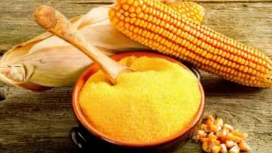 Corn Gluten Meal in the Chemical Industry: Feedstock Strategy and Outlook