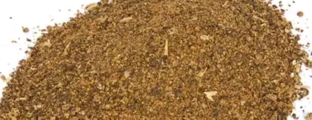 Makanan Canola