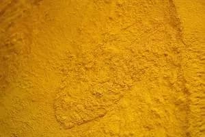 Makanan Gluten Jagung (60% Protein Min) - Indonesia